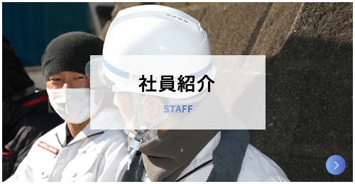 社員紹介 Staff