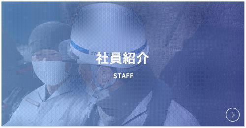 社員紹介 Staff